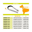 Imagen de Collar Para Perro FERPLAST Daytona Fantasy C25/53 Naranja