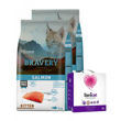 Imagen de Alimento BRAVERY Gato Cachorro Kitten Sabor Salmón 4 kg + Regalo