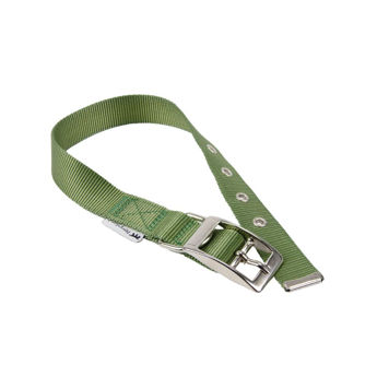 Imagen de Collar Para Perro FERPLAST Club CF25/53 Verde Oliva