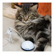 Imagen de Juguete Para Gato KITTIO Plumero Con Sonido AJ-415