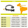 Imagen de Collar Para Perro FERPLAST Club C10/25 Gris