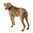 Imagen de Arnés Para Perro FERPLAST Agila Fluo 7 Amarillo