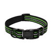Imagen de Collar Para Perro PAWISE Reflector Verde Talle M