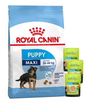 Imagen de Alimento ROYAL CANIN Perro Maxi Puppy Junior Cachorro 15 kg + Regalo
