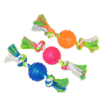 Imagen de Juguete Para Perro ANIMAL PLANET Pelota Con Cuerda 30 cm