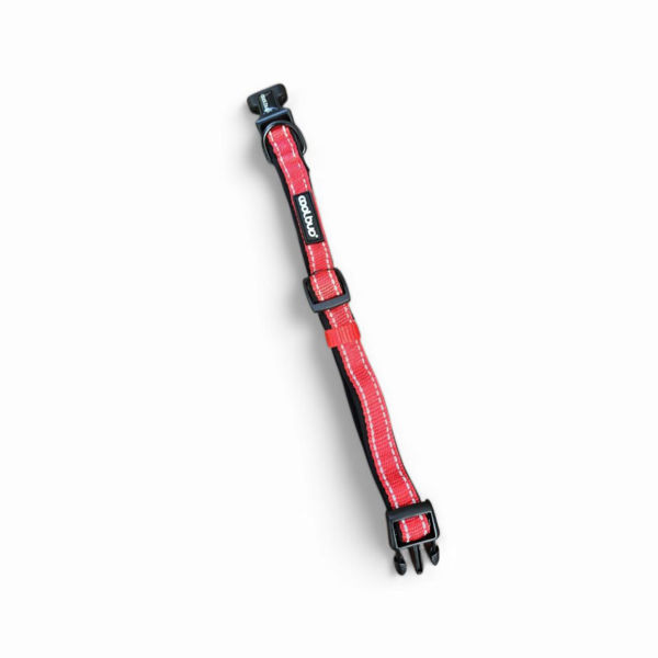 Imagen de Collar Para Perro COOLBUD Reflectivo Talle L