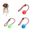 Imagen de Juguete Para Perro LILI MASCOTA Pelota Maciza Con Cuerda Grande