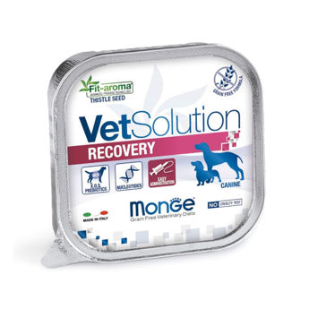 Imagen de Paté Vet Solution MONGE Recovery Perro 150 grs