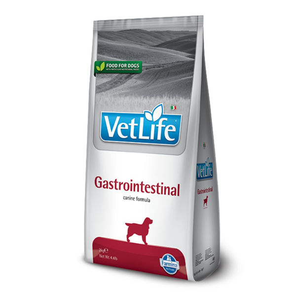 Imagen de Alimento VET LIFE Perro Gastrointestinal 10 Kg / Con Avería