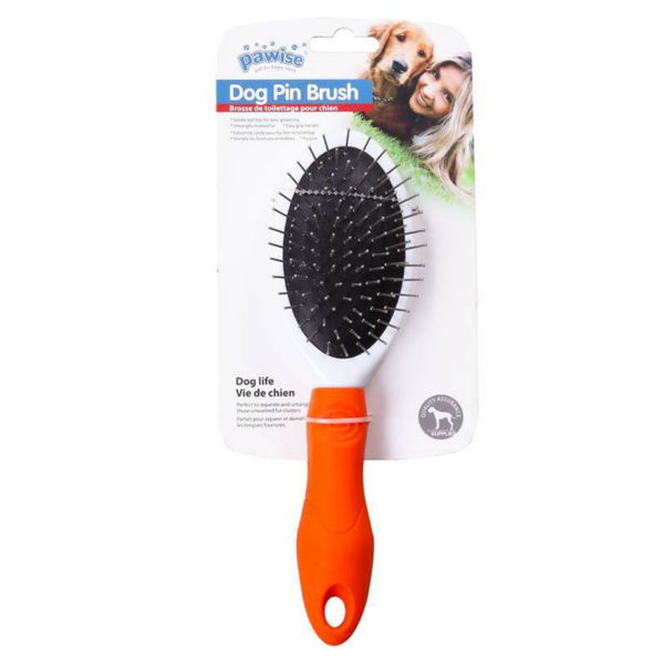 Imagen de Cepillo Para Perro PAWISE Dog Pin Brush