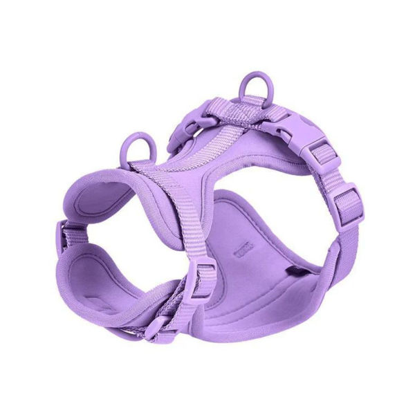 Imagen de Arnés Para Perro PEPITO Doble Enganche Talle S Lila