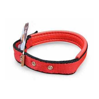 Imagen de Collar Para Perro LILI MASCOTA Con Protección - Nro 3