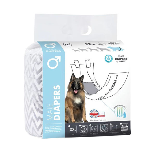 Imagen de Pañales Para Perro M-PETS Diapers Macho Talle XXL - 12 Unidades