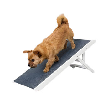 Imagen de Rampa Para Mascotas Chica AJ-462