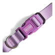 Imagen de Collar Para Perro FREEFARO Lilac Talle P