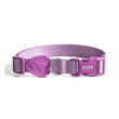 Imagen de Collar Para Perro FREEFARO Lilac Talle G