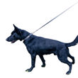 Imagen de Collar Para Perro FERPLAST Greener C25/70 Verde