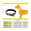 Imagen de Collar Para Perro FERPLAST Greener C15/44 Naranja