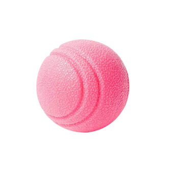 Imagen de Juguete Para Perro PEPITO Pelota Maciza Rosada