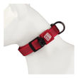 Imagen de Collar Para Perro GIGWI Classic Talle L