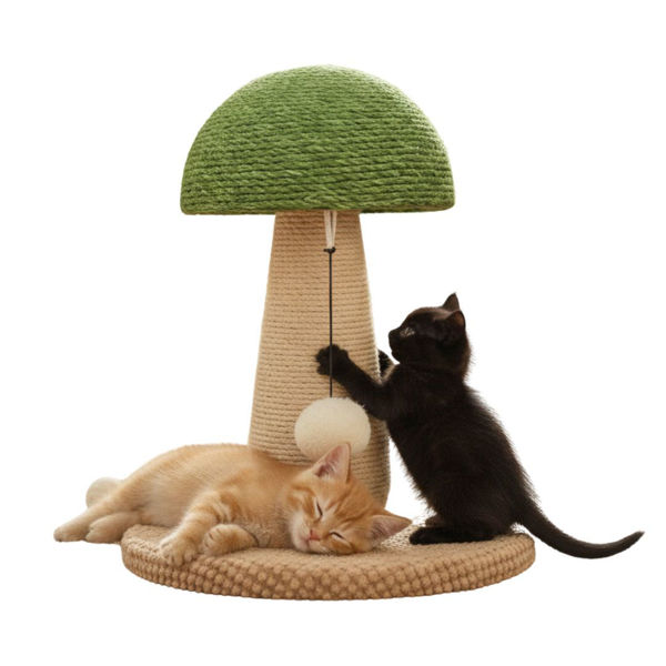 Imagen de Juguete Para Gato Rascador Hongo Chico LZZ01