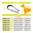 Imagen de Collar Para Perro FERPLAST Daytona C25/53 Verde Oliva