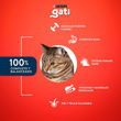 Imagen de Alimento GATI Gato Adulto Pescado y Salmón 15 Kg