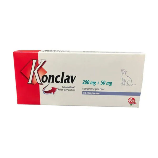 Imagen de Antibiótico KONCLAV 250 mg Blister (10 Comprimidos)