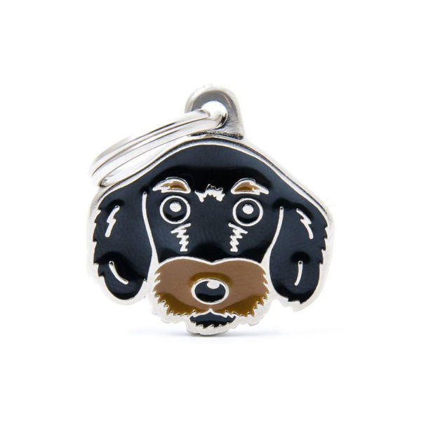 Imagen de Chapita Identificatoria MY FAMILY Perro Salchicha Pelo Duro