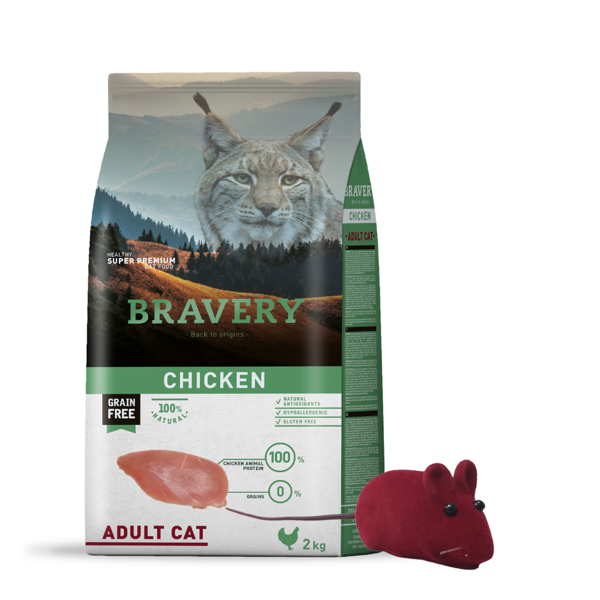 Imagen de Alimento BRAVERY Gato Adulto Sabor Pollo 2 kg + Regalo