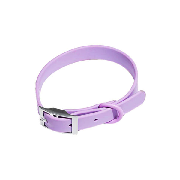 Imagen de Collar Para Perro PEPITO Talle XS Lila