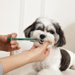 Imagen de Set Dispensador De Medicamentos M-PETS Procare