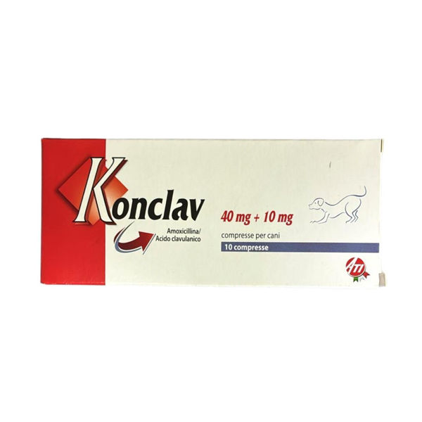 Imagen de Antibiótico KONCLAV 50 mg Blister (10 Comprimidos)