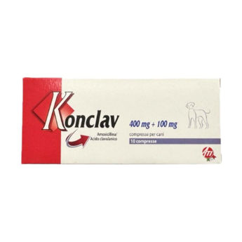 Imagen de Antibiótico KONCLAV 500 mg Blister (10 Comprimidos)