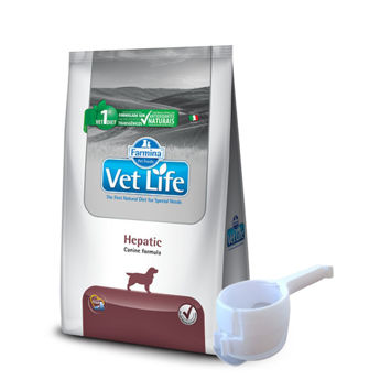Imagen de Alimento VET LIFE Perro Hepatic 2 kg + Regalo