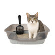Imagen de Bandeja Sanitaria LILI MASCOTA Chica Con Borde