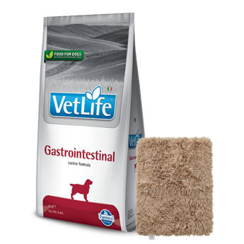 Imagen de Alimento VET LIFE Perro Gastro-Intestinal 10 kg + Regalo