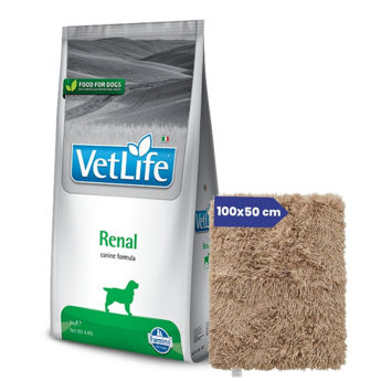 Imagen de Alimento VET LIFE Perro Renal 10 kg + Regalo
