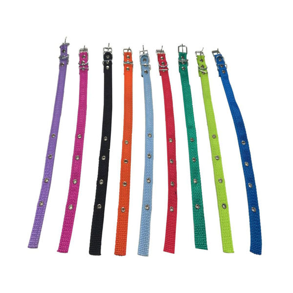 Imagen de Collar Para Perro Cinta Nro 1